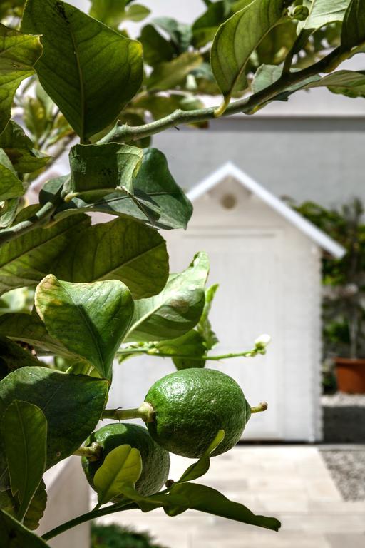 Apartmán Cala Palme Lampedusa Exteriér fotografie