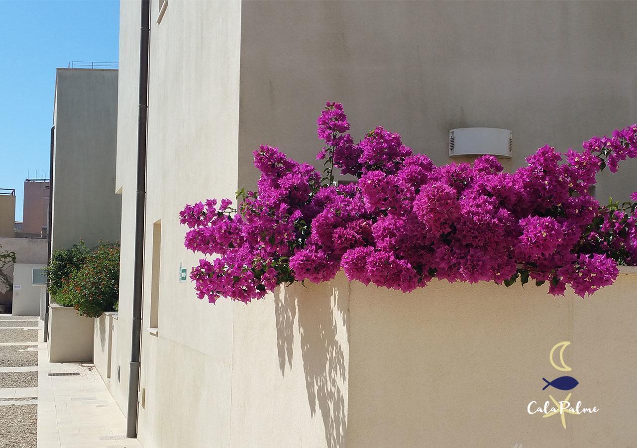 Apartmán Cala Palme Lampedusa Exteriér fotografie